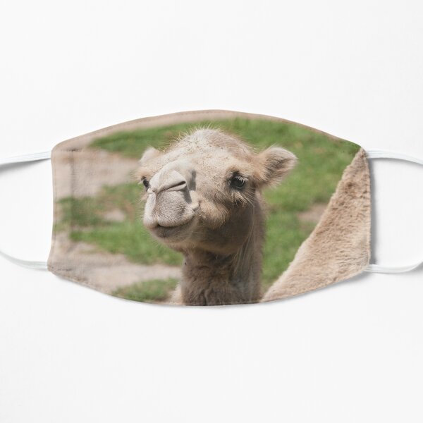 camel Flat Mask