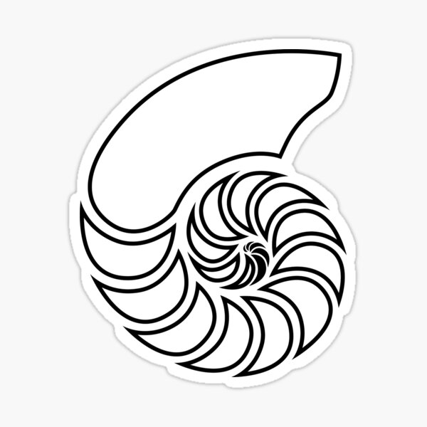 Nautilus Shell Stickers Redbubble