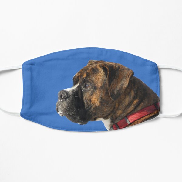 boxer Flat Mask