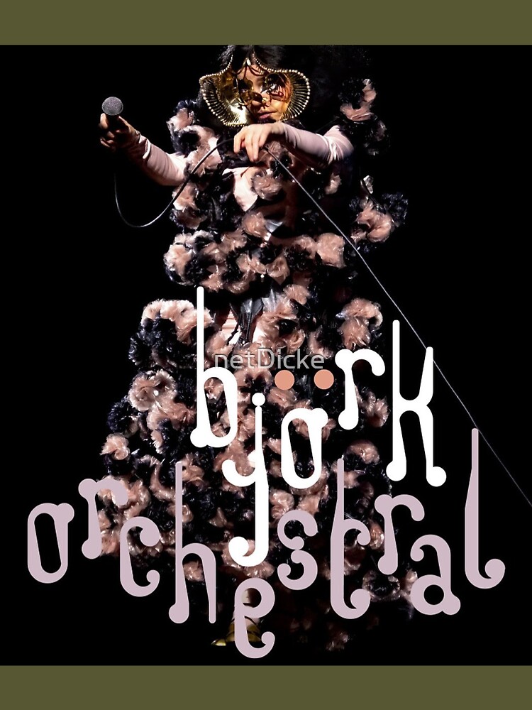 想像を超えての orchestral Bjork ビョーク リトグラフ オーケストラル 