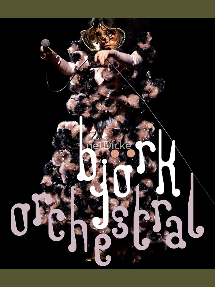 人気定番の Björk Orchestral Tシャツ ビョーク オーケストラル | www