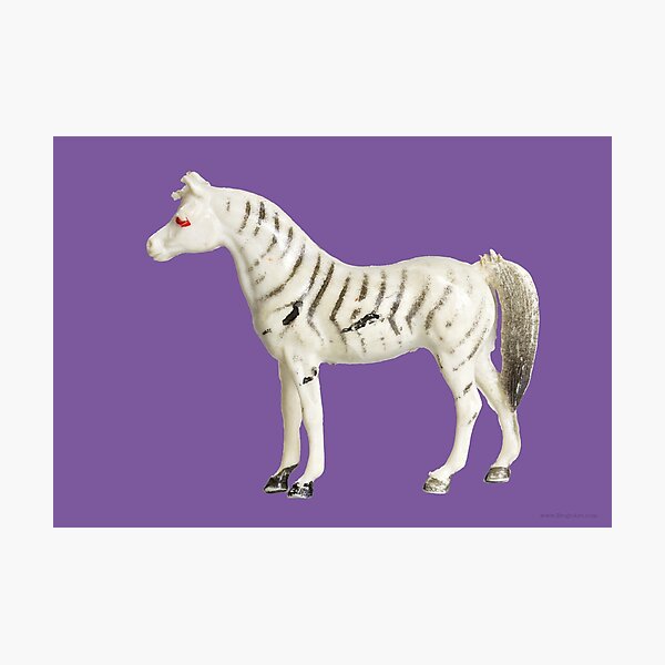 PLASTIC FANTASTIC: Zebra Photographic Print