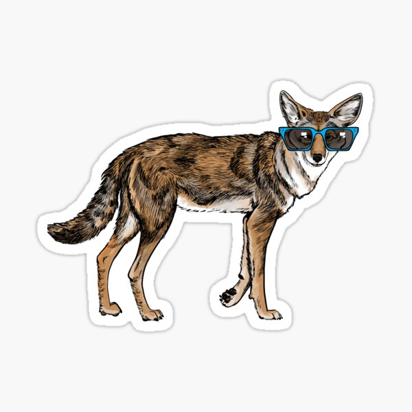 Cool Coyote with Sunglasses Sticker