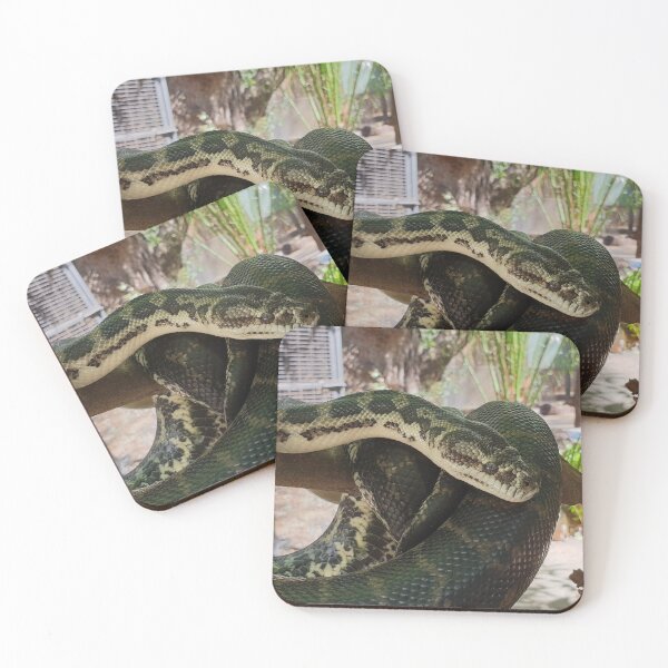 Item preview, Peel Zoo: SJ the Southwest Carpet Python designed and sold by PeelZoo.