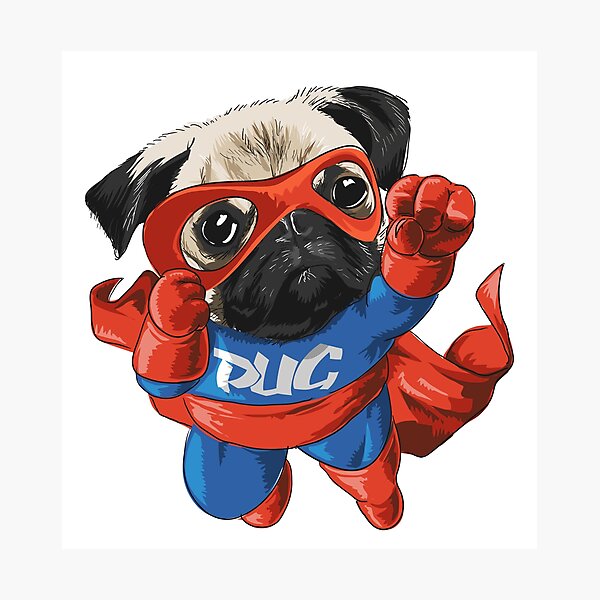 Superhero Pug Photographic Prints | Redbubble