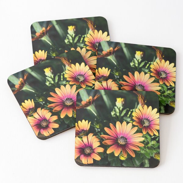 Item preview, Osteospermum Special Erato Purple Glow designed and sold by Kezzles.