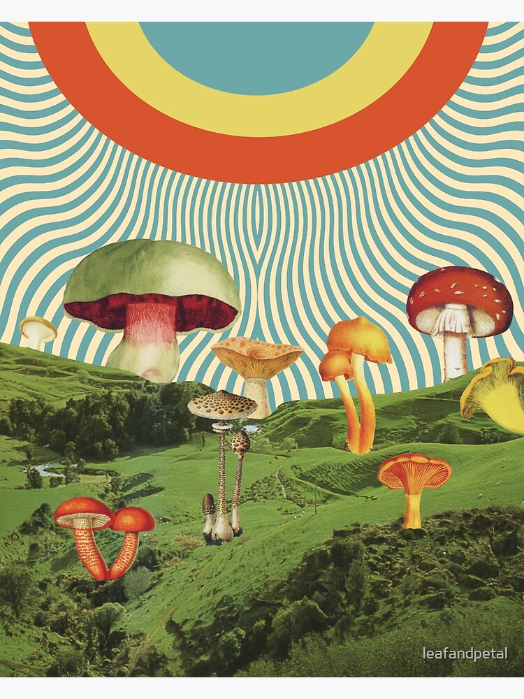 Thumbnail 3 of 3, Photographic Print, Shroomscape designed and sold by leafandpetal.