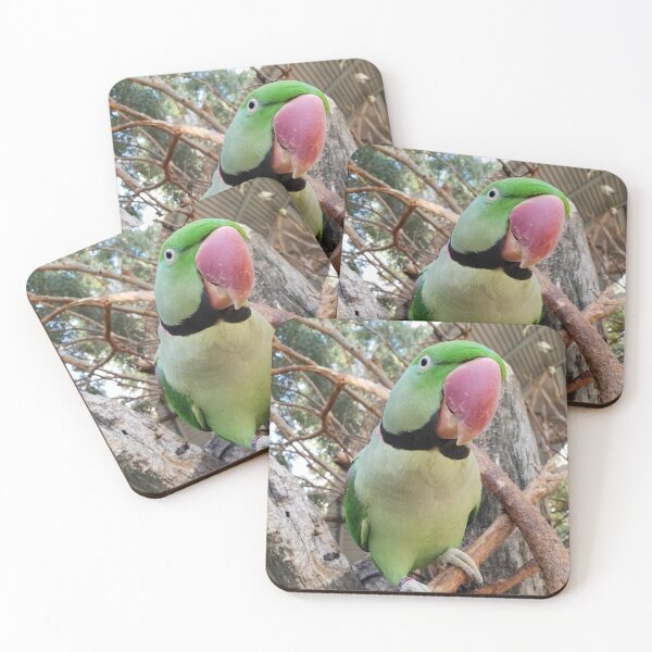 Item preview, Peel Zoo: Harry the Alexandrine Parrot designed and sold by PeelZoo.