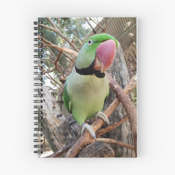 Item preview, Peel Zoo: Harry the Alexandrine Parrot designed and sold by PeelZoo.