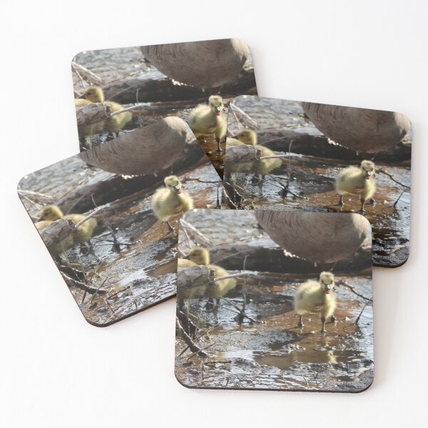 Item preview, Cuteness Overload designed and sold by Susie Kramer.