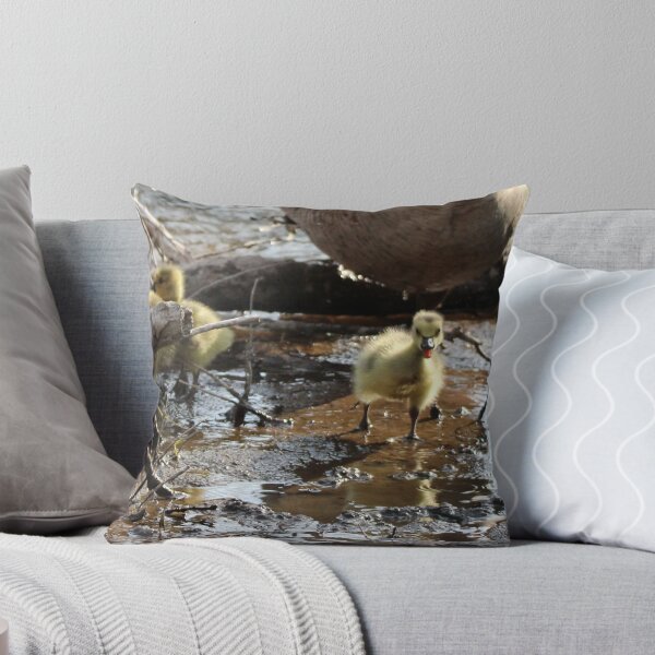 Item preview, Cuteness Overload designed and sold by Susie Kramer.