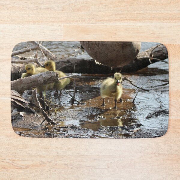 Item preview, Cuteness Overload designed and sold by Susie Kramer.