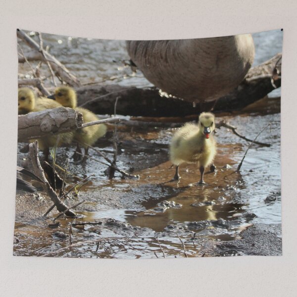 Item preview, Cuteness Overload designed and sold by Susie Kramer.