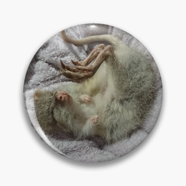 Item preview, Peel Zoo: Auri the Rufous Bettong designed and sold by PeelZoo.