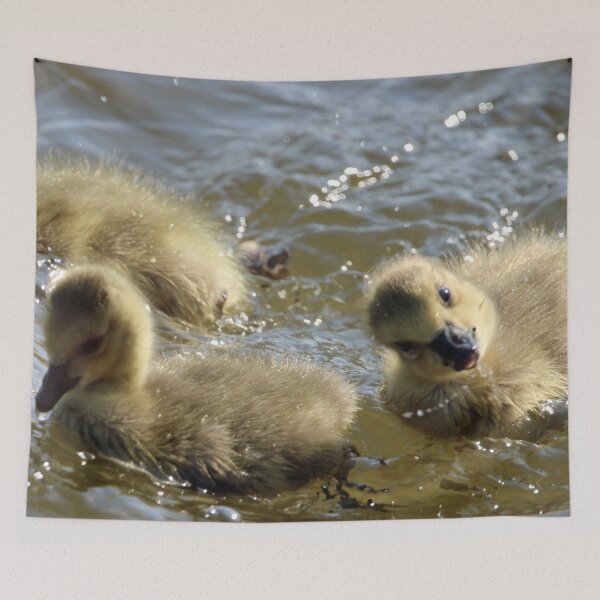 Item preview, Silly Goslings designed and sold by Susie Kramer.
