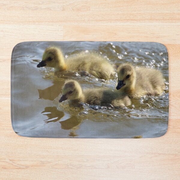 Item preview, Three Sibling Goslings Swimming designed and sold by Susie Kramer.