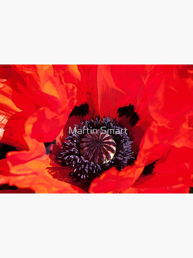 Poppy Blast by MartinSmart