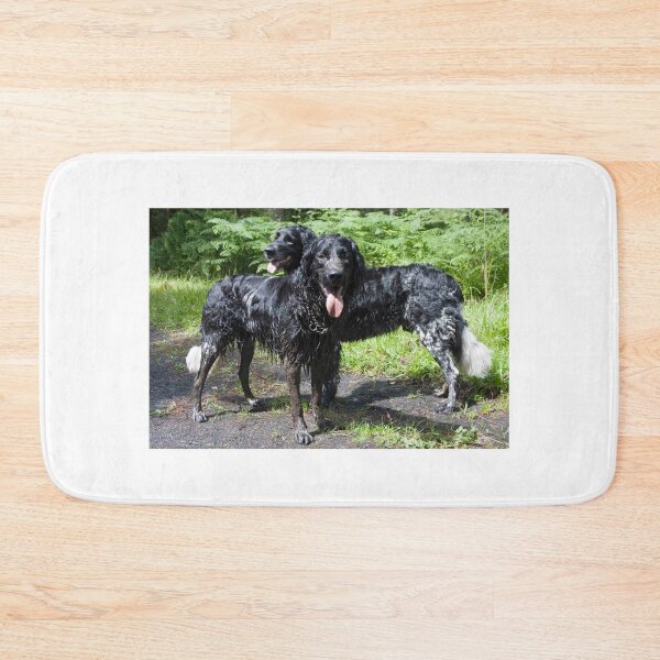 Item preview, We have achieved! We can go home now. designed and sold by Latch Farm  Studios.