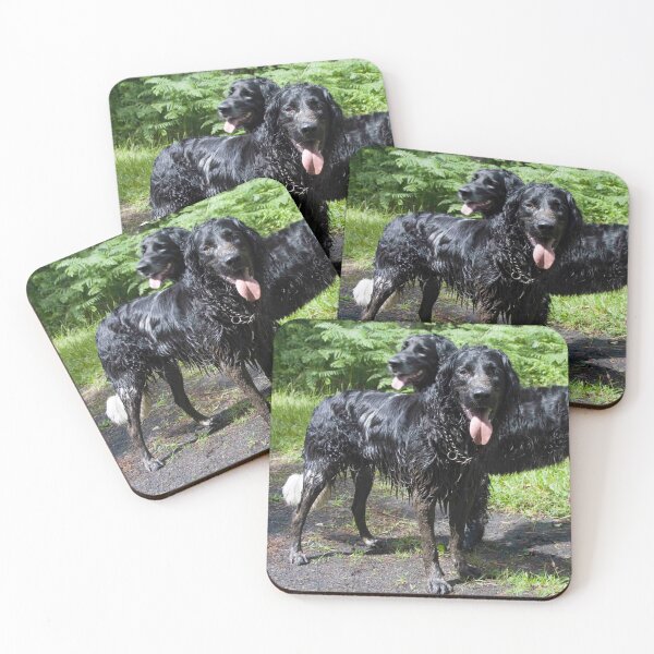 Item preview, We have achieved! We can go home now. designed and sold by Latch Farm  Studios.