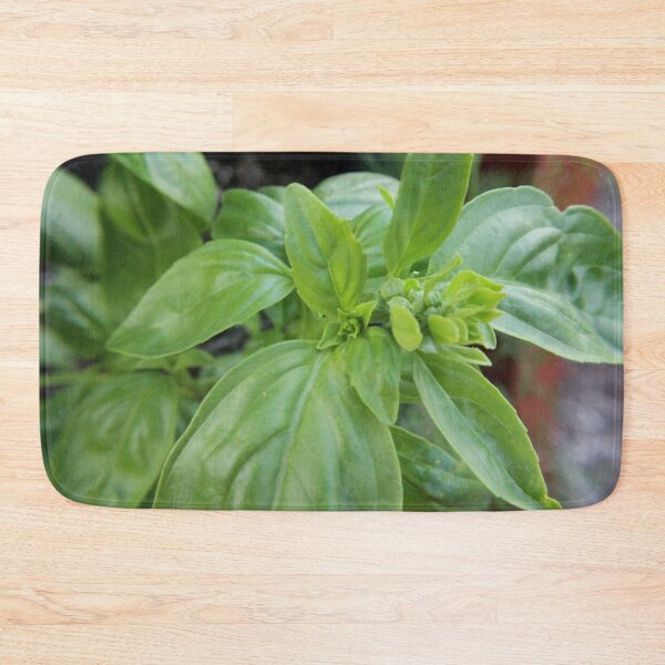 Item preview, Basil designed and sold by Susie Kramer.