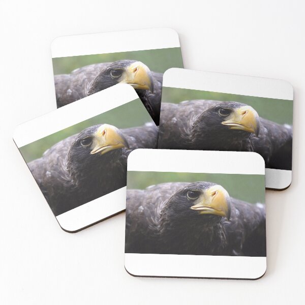 Item preview, Wind beneath my wings - stella sea eagle designed and sold by Latch Farm  Studios.