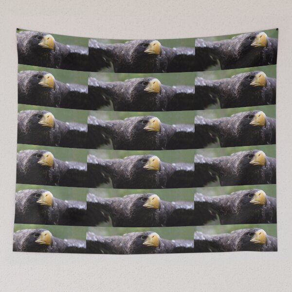 Item preview, Wind beneath my wings - stella sea eagle designed and sold by Latch Farm  Studios.