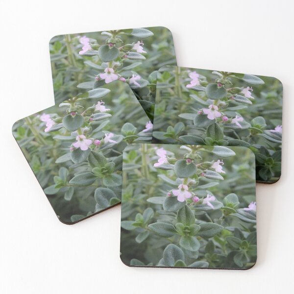 Item preview, Thyme designed and sold by Susie Kramer.