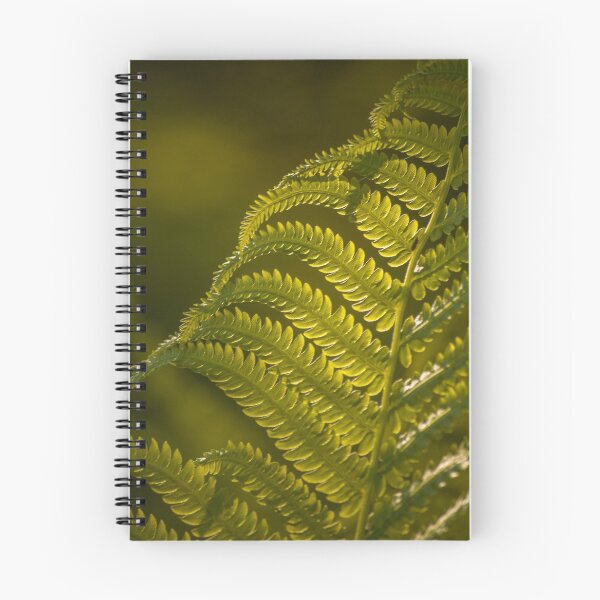 Item preview, Fern at Sunset designed and sold by DestinieDreams.