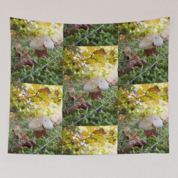 Item preview, Short, stumpy, red and white toadstool in woodland designed and sold by Latch Farm  Studios.