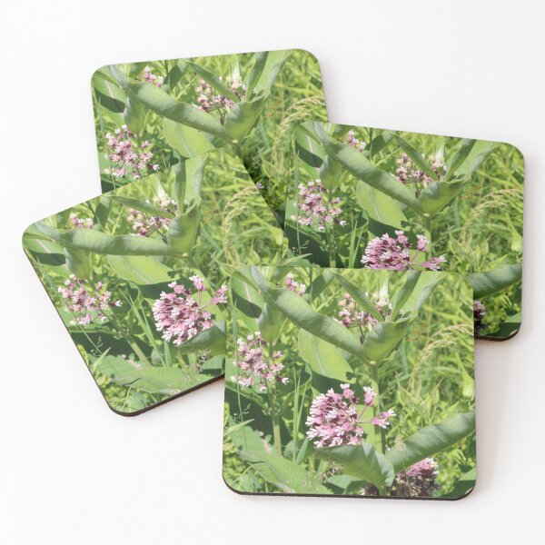 Item preview, Milkweed designed and sold by Susie Kramer.