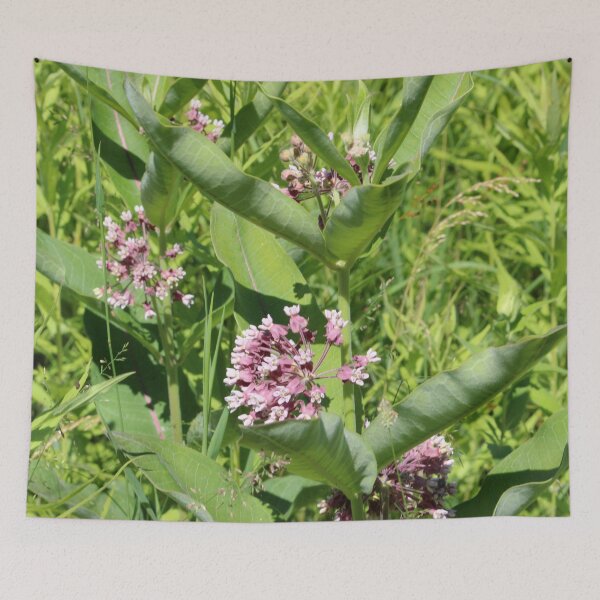 Item preview, Milkweed designed and sold by Susie Kramer.