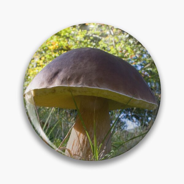Item preview, Dinner plate sized toadstool in woodland designed and sold by Latch Farm  Studios.