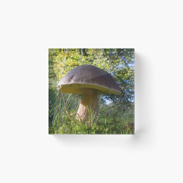 Item preview, Dinner plate sized toadstool in woodland designed and sold by Latch Farm  Studios.