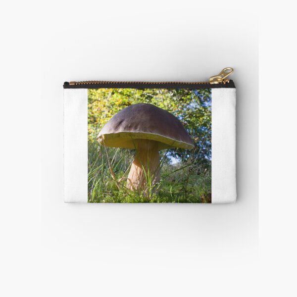 Item preview, Dinner plate sized toadstool in woodland designed and sold by Latch Farm  Studios.