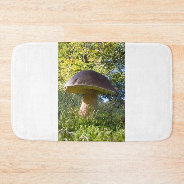 Item preview, Dinner plate sized toadstool in woodland designed and sold by Latch Farm  Studios.