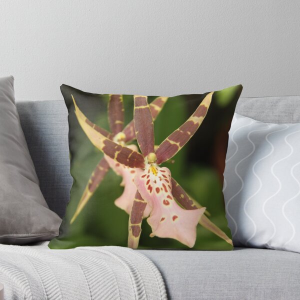 Item preview, Spider Orchid designed and sold by coffeebean.
