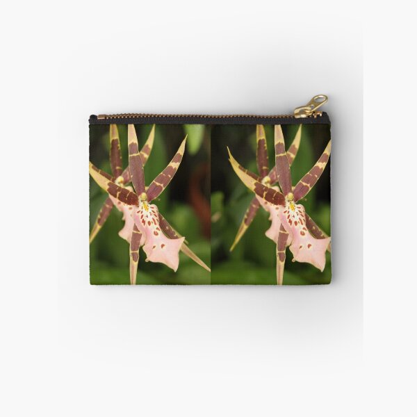 Item preview, Spider Orchid designed and sold by coffeebean.