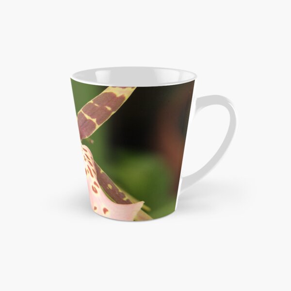 Item preview, Spider Orchid designed and sold by coffeebean.