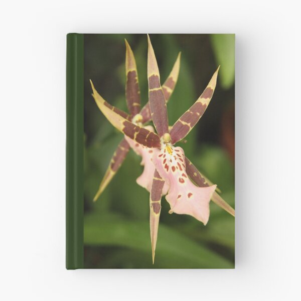 Item preview, Spider Orchid designed and sold by coffeebean.