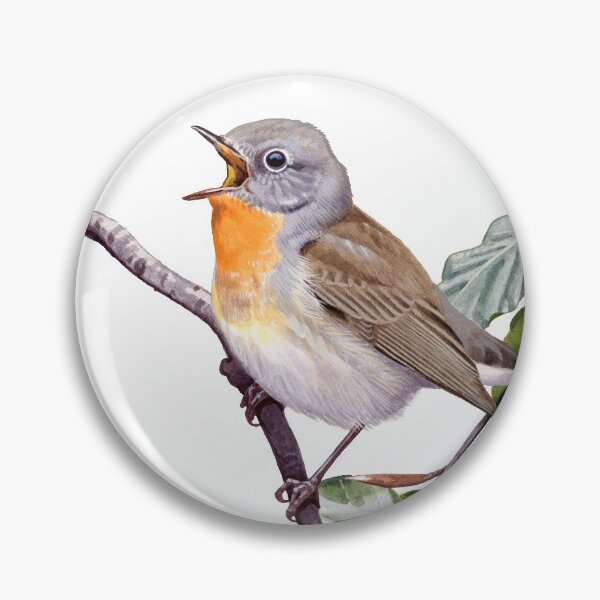 Item preview, Red-breasted Flycatcher designed and sold by kokayart.