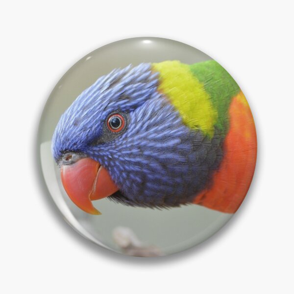 Item preview, Rainbow lorikeet designed and sold by parrotoftheday.