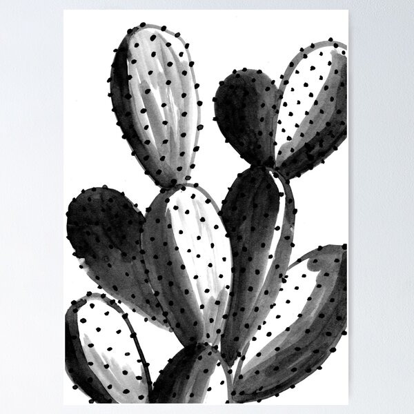 Cactaceae saguaro blanco y negro, cactus s para niños., blanco, hoja, texto  png