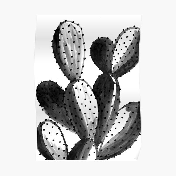Black and White Cactus Poster