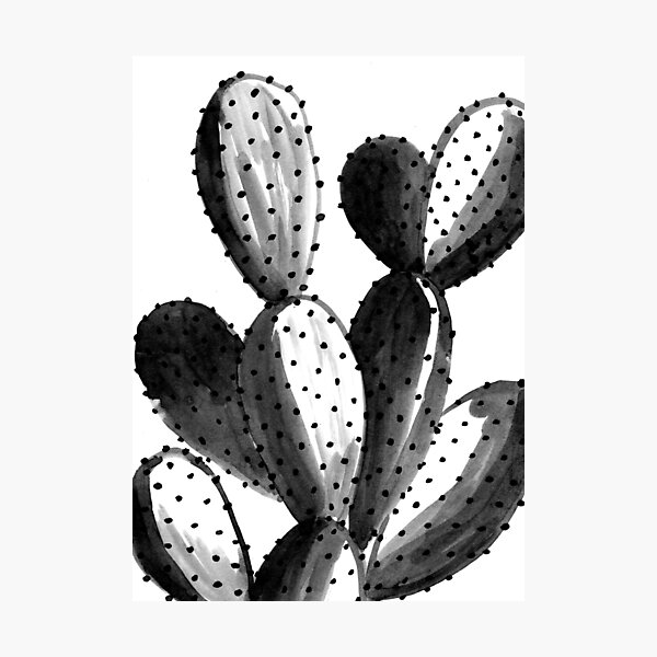 Black and White Cactus Photographic Print