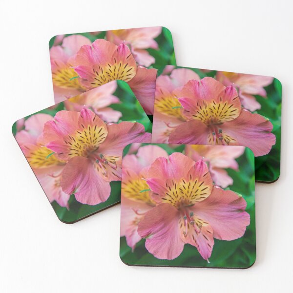 Item preview, Pink Peruvian lily designed and sold by Martin Leber.
