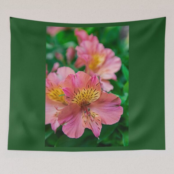 Item preview, Pink Peruvian lily designed and sold by Martin Leber.