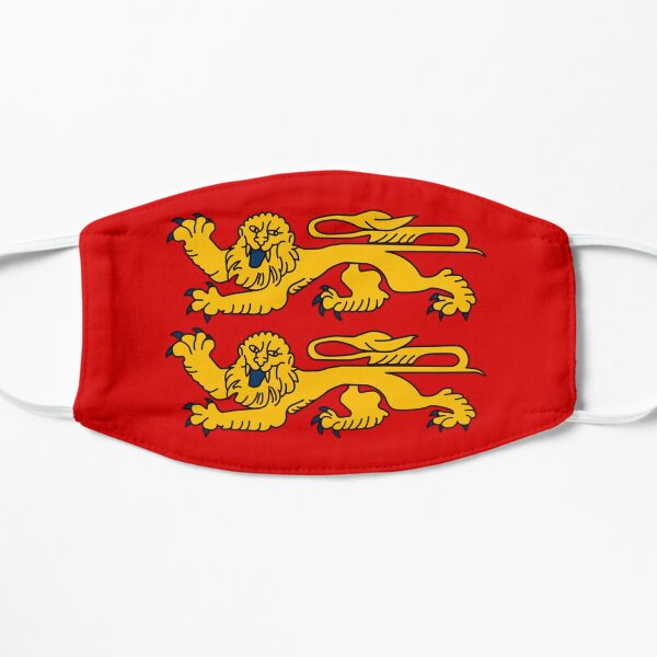 Basse Normandie - masque de protection Covid19 Masque sans plis