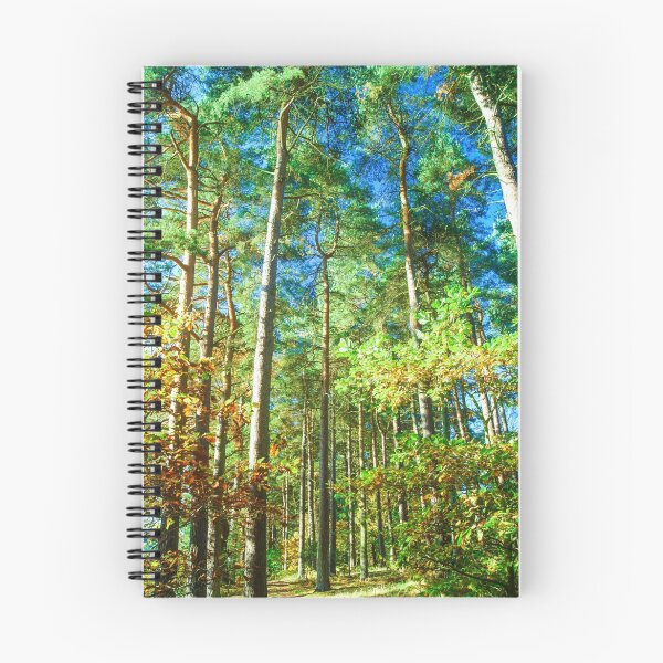 Item preview, If You Go Down To The Woods Today....!!!! designed and sold by brimel55.