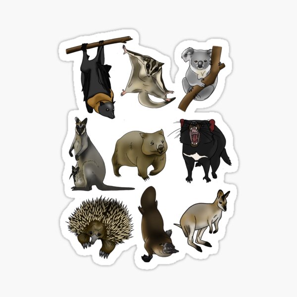 Aussie Animals Sticker