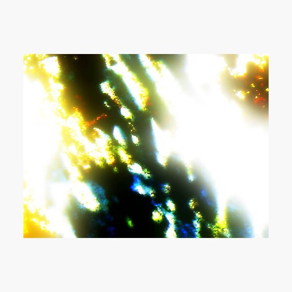 Together Photographic Print